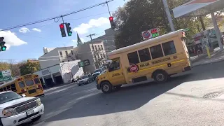 Bee-Line Bus 2009 NABI 40-LFW Rare Route 8 To TUCKAHOE EXPRESS #267 & VALENTINE LANE #272 Yonkers