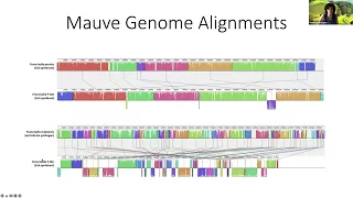 Analyzing endosymbionts of ticks using BV-BRC