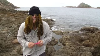 Simmo The Squid Whisperer - Broughton Island DVD