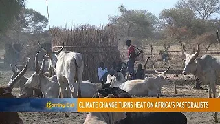 Climate change turns heat on Africa's pastoralists [The Morning Call]