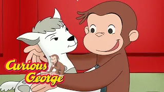 Curious George 🐑 Farm Animals 🐑 Kids Cartoon 🐵 Kids Movies 🐵 Videos for Kids