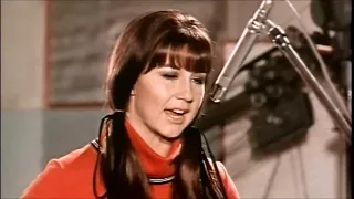 "I'll Never Find Another You" - The Seekers (1964 Radio Hit)