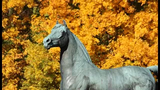 University of Vermont Morgan Horse Farm- Living History