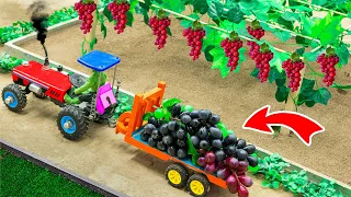 Diy tractor making mini Amazing Grape Harvesting Truck  Grape Picking Technology  @SunFarming