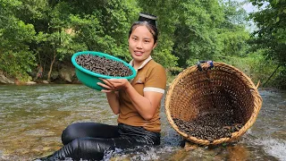 Harvest snails, bamboo shoots and chili, bring them to the market to sell | Chuc Thi Duong