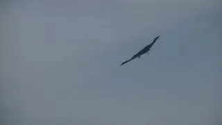 B2 Stealth Bomber - Whiteman AFB (051912) - Video 1