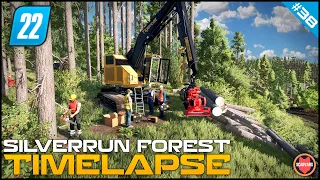 🇺🇸 Small Breakdown On A Steep Hill - Survival Logging Series ⭐ FS22 Silverrun Forest Timelapse