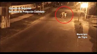 El Sistema de Monitoreo de Tigre, clave para identificar y detener al presunto asesino de una mujer