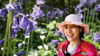 Bluebell Walk and sketching at Hinton Ampner National Trust Vlog