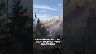 WATCH: Blaze Engulfs Historic Buddha Statue In Chinese Temple