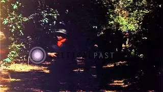 South Vietnamese troops move through jungle HD Stock Footage