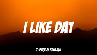 T-Pain - I Like Dat ft. Kehlani (lyric video)