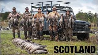 Goose Hunting in SCOTLAND!! (Pink-Footed Geese are AWESOME!)