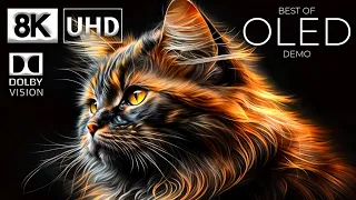 Special Edition OLED DEMO 2024 - Dolby Vision 8K Video ULTRA HD 240 FPS