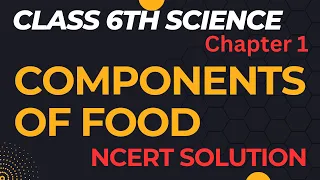 Class 6 Science Chapter 1 | NCERT Exercise Solutions | Components of Food