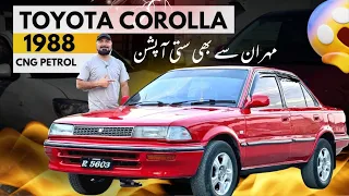 Toyota Corolla 1988 | Best Car In Budget |