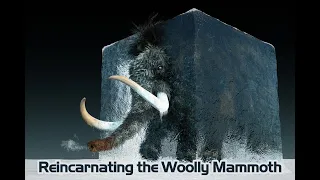 Scientists Are Reincarnating the Woolly Mammoth to Return in 4 Years