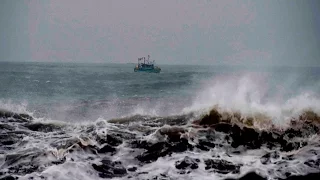 Cyclone Vardah rages; makes landfall