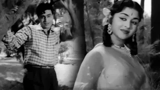 Rajendra Kumar best film | Sasural | Rajendra Kumar, B. Saroja Devi, Mehmood, Shubha Khote