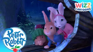 @OfficialPeterRabbit - Adventures at Night | Action-Packed Adventures | Wizz Cartoons