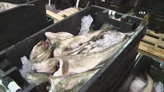 Feds shutting down cod fishing area off Gulf of Maine