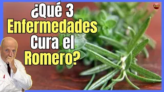 🔴 ¿QUÉ 3 ENFERMEDADES CURA EL ROMERO O AYUDA A COMBATIR? 🔴