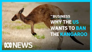 US politicians are trying to give kangaroo products the boot | The Business