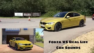 Forza Horizon 3 VS Real Life (Car Sounds)