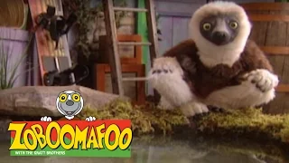 Zoboomafoo 217 - Super Claw (Full Episode)