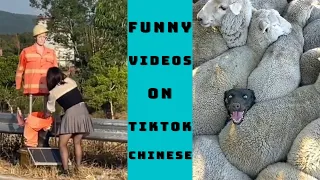 Funny Video - The Funniest Videos on Chinese TikTok 2022 Part 16