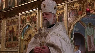 2016.01.19. About Blessing of the Waters. Sermon by Archpriest Victor Potapov