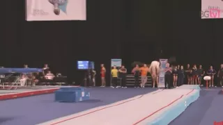 Новый мировой рекорд в гимнастики!