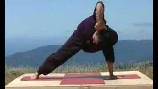 Universal Yoga Demo with Andrey Lappa
