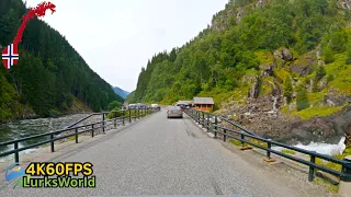 Driving in Norway - Langfoss Waterfall To Kinsarvik - 4K60 Road Trip