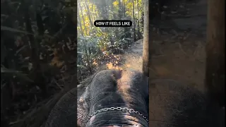 HOW IT FEELS LIKE WHEN RIDING BULLET