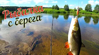 Рыбалка с берега на малой реке. Щука, Голавль, Окунь