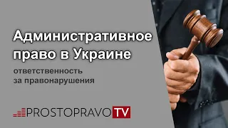 Административное право в Украине: ответственность за правонарушения