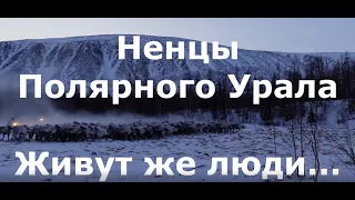 Ненцы Полярного Урала. #ГеографНежданноеПутешествие