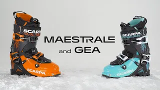 MAESTRALE & GEA | Alpine Touring