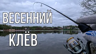 Ищем рыбу весной. Окунь дает жару! Слом погоды и резкое похолодание.