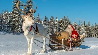 Pello - Santa Claus' reindeer land in Lapland. Father Christmas in winter Finland