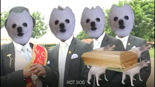 Coffin Dance Meme - Gabe the dog