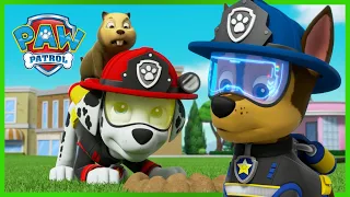 Os melhores episódios de resgate de Chase e Marshall - Patrulha Pata PAW Patrol Episódio Português