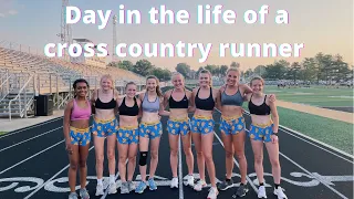 Day in the life of a cross country runner || vlog, track workout, haul, recovery