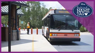 Bus Driver Roles | Walt Disney World Resort