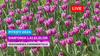 🔴LIVE din PITEȘTI - SIMFONIA LALELELOR 2024 🌷 DESCHIDEREA EVENIMENTULUI