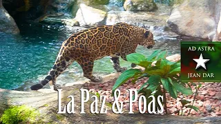 La Paz Animal Refuge and Waterfalls, Costa Rica, 5 January 2024 | + Poás Volcano!