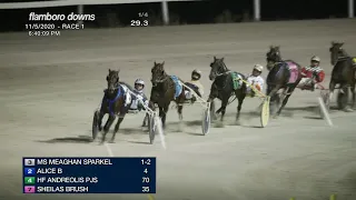 NOV 5,2020-RACE 1-FLAMBORO DOWNS