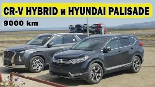 Перегон 9000 км HONDA CR-V HYBRID`18 и HYUNDAI PALISADE`20