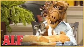 ALF Makes a 🐈 🥪